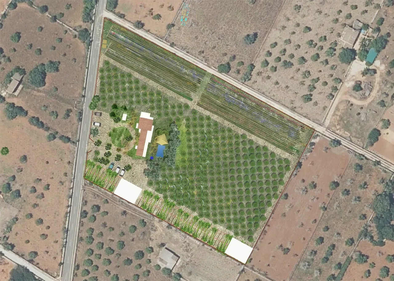 Representación del proyecto de Els Conreus.